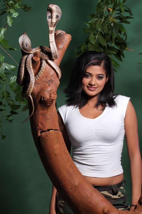 cute wallpapers for mobile phones. Tags: cute Priyamani hot spicy